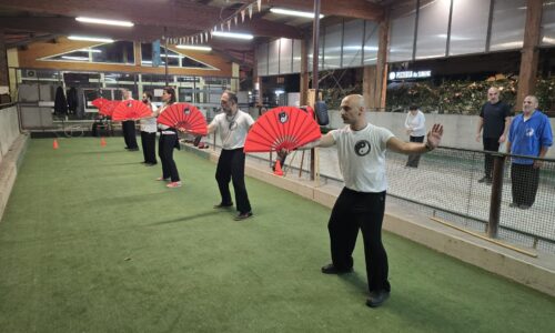 Corso Tai Chi Chuan Pigneto – Turno A