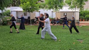 Gruppo Tai Chi aps Ponte
